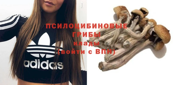 2c-b Балабаново